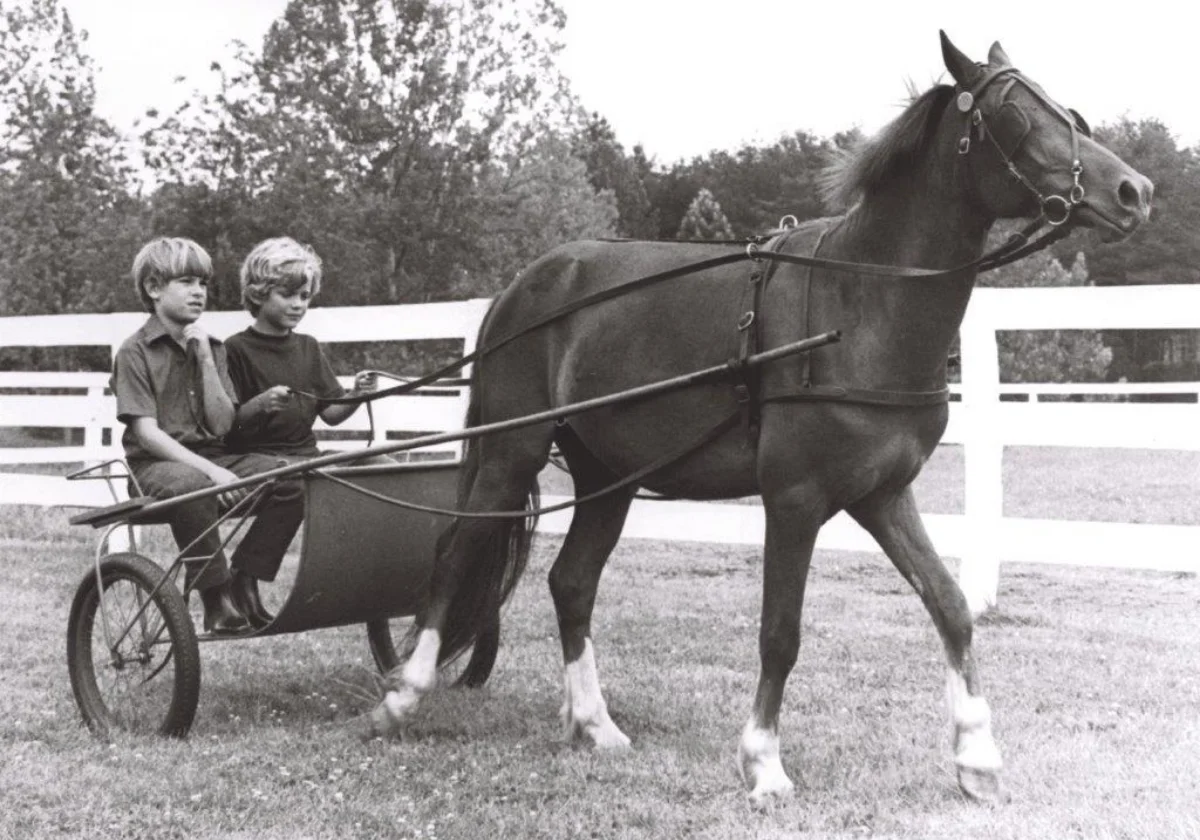 two boys in a horse-drawn carriage