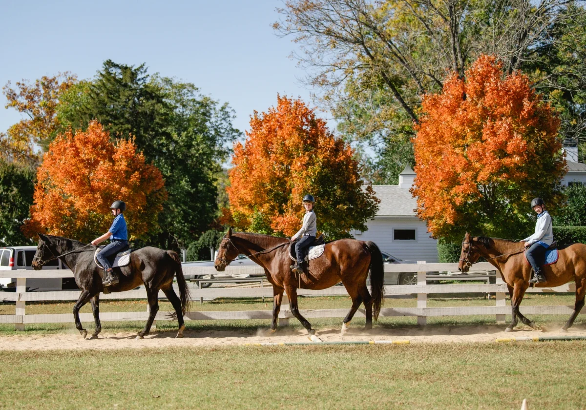 3 students riding brown horses
