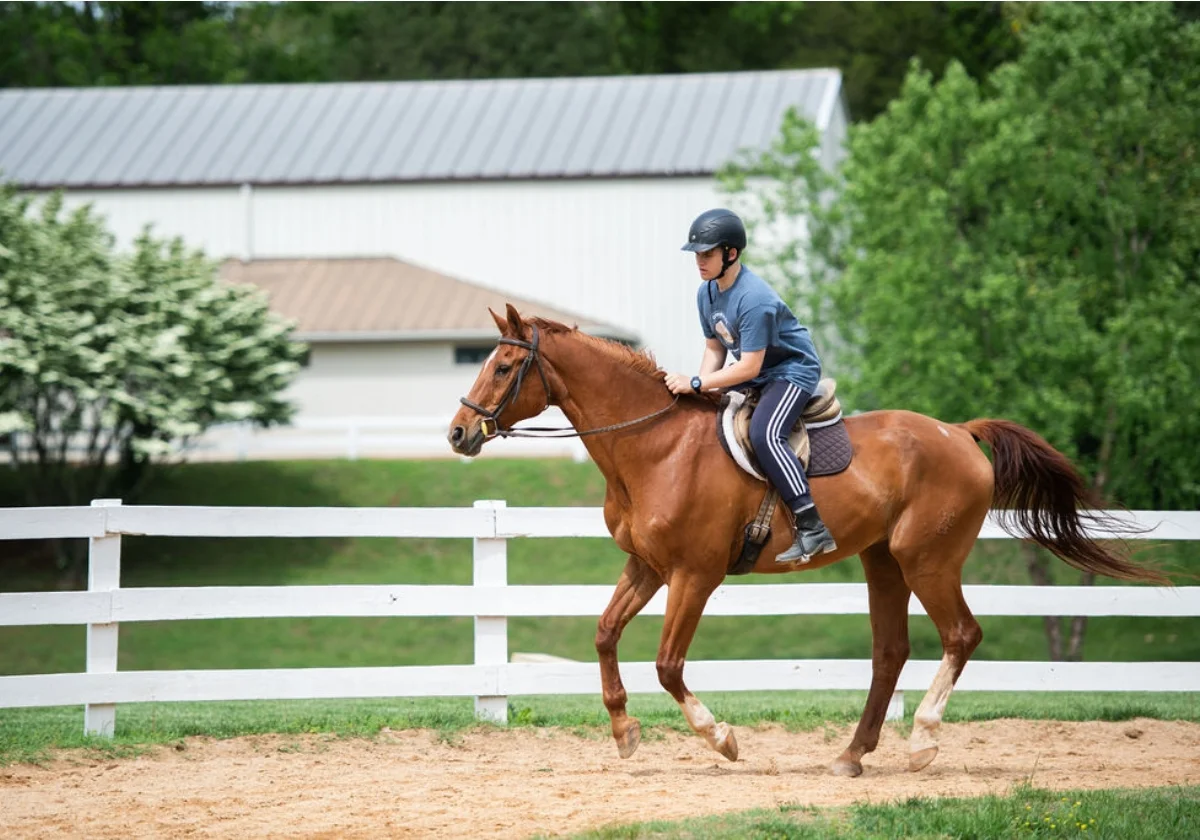 student riding a brown horse