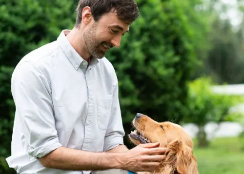 Faculty / Staff Login