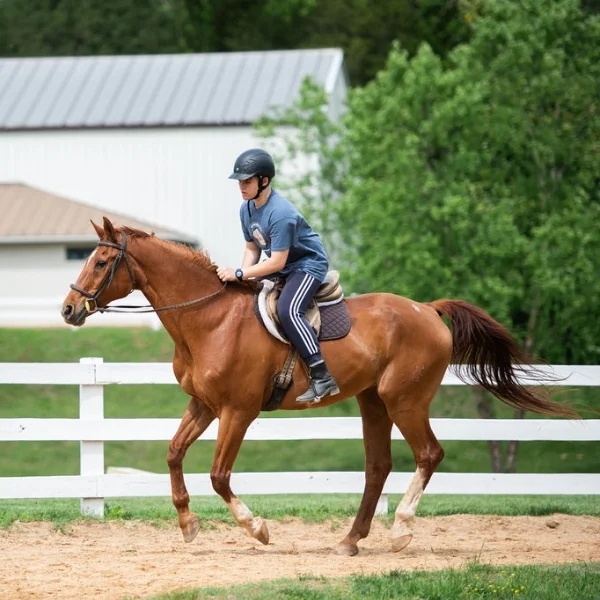 student riding a horse