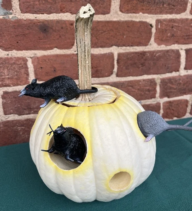 Staff Pumpkin Contest Entry 2