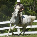 Therapeutic Equestrian Program at Keswick School